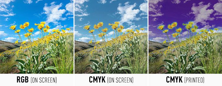 Sự khác biệt giữa RGB và CMYK trong thiết kế và in ấn