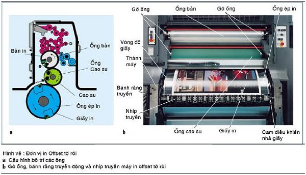 Cấu tạo máy in Offset