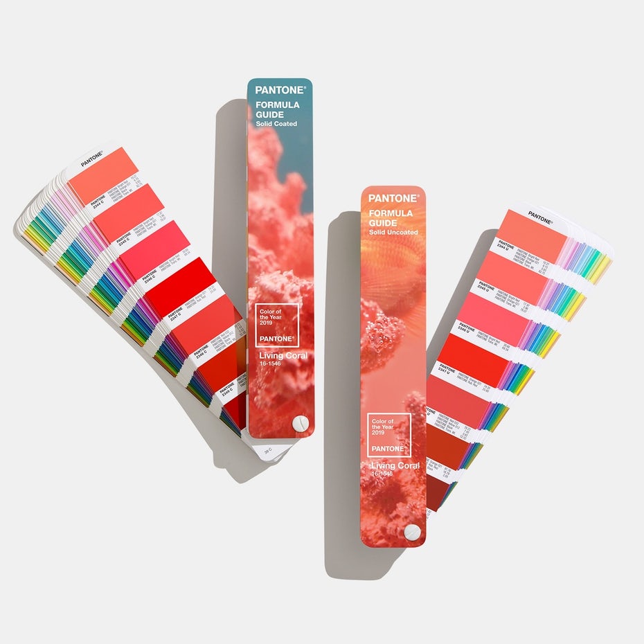 Màu pantone của năm 2019