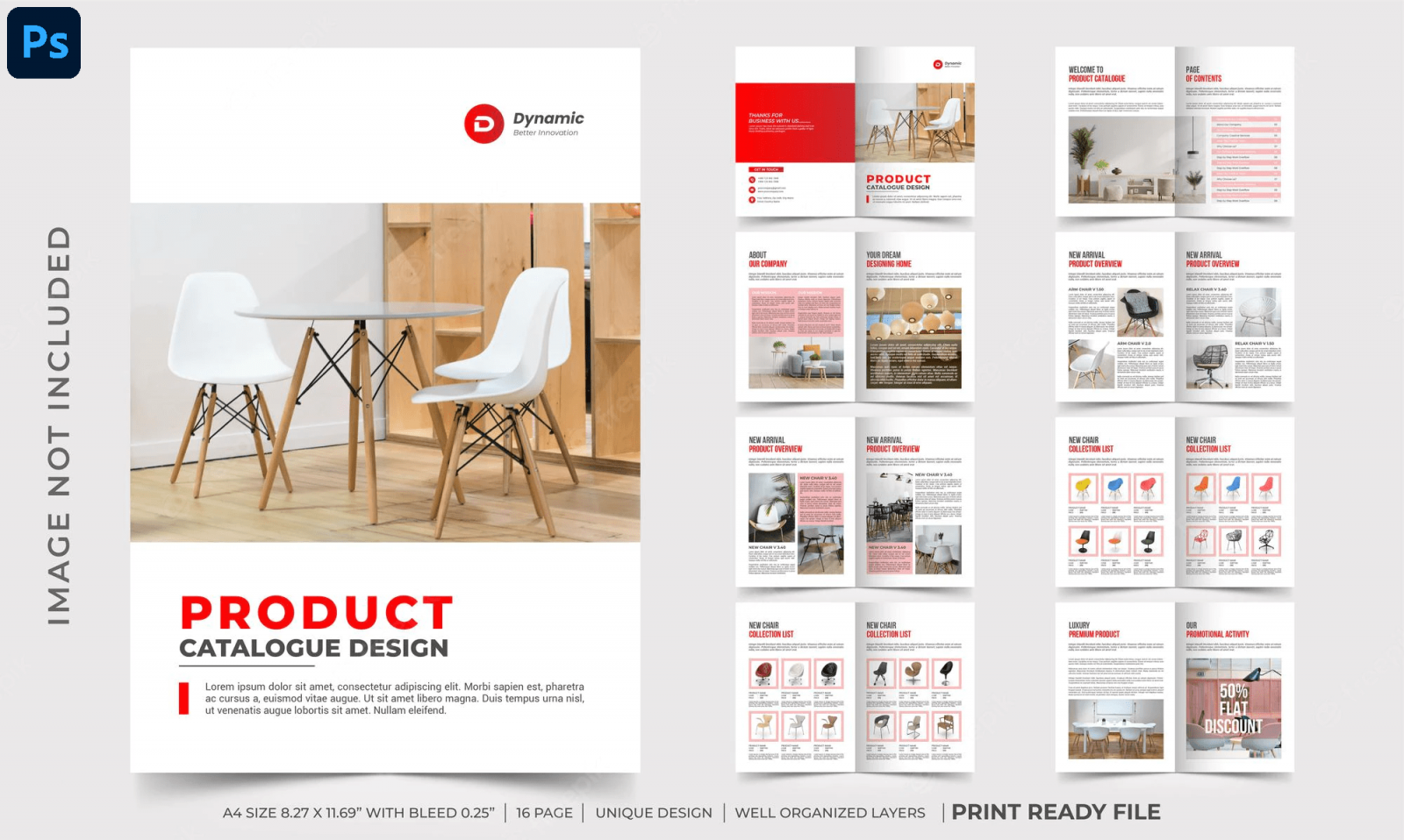 làm catalog sản phẩm