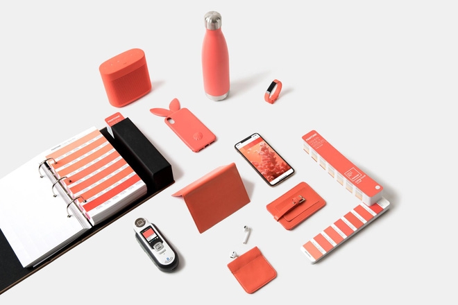 bộ nhận diện thương hiệu với màu sắc pantone