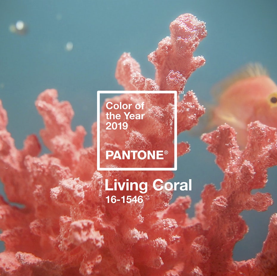 pantone color of the year 2019 living coral