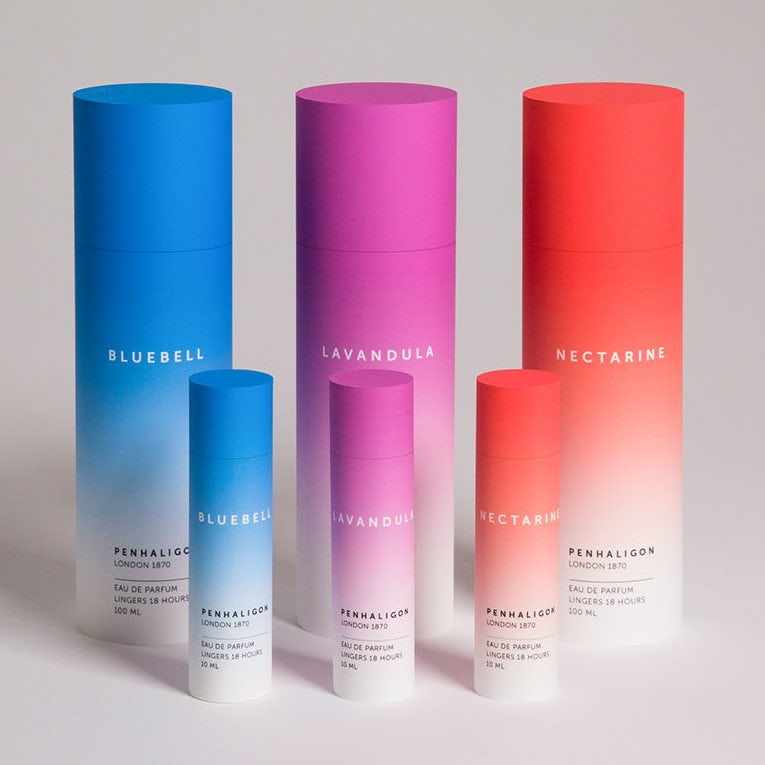 thiết kế gradient
